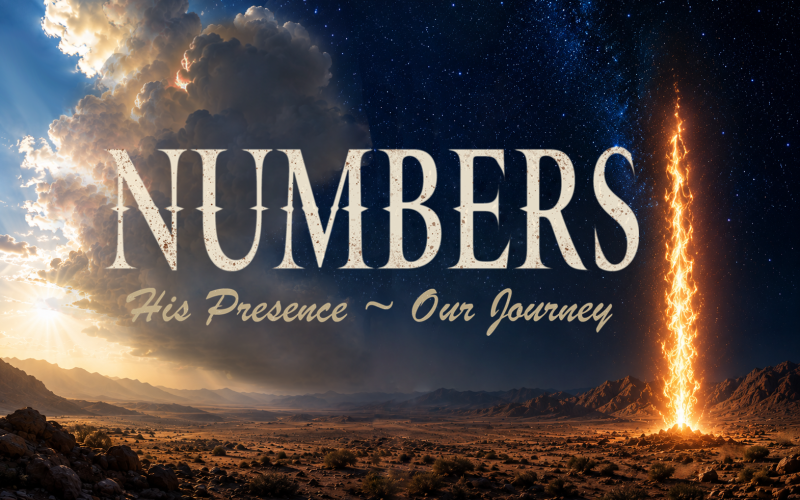 Numbers Logo