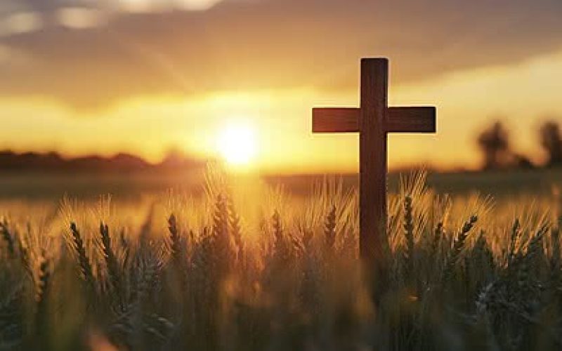 cross-in-the-middle-of-a-wheat-field-at-sunset