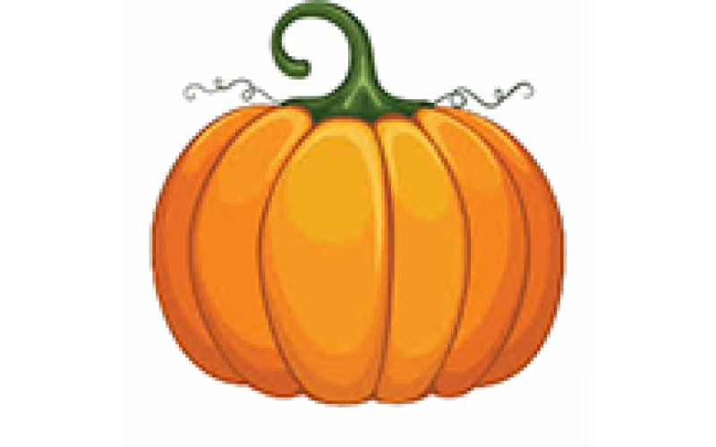 pumkin 4