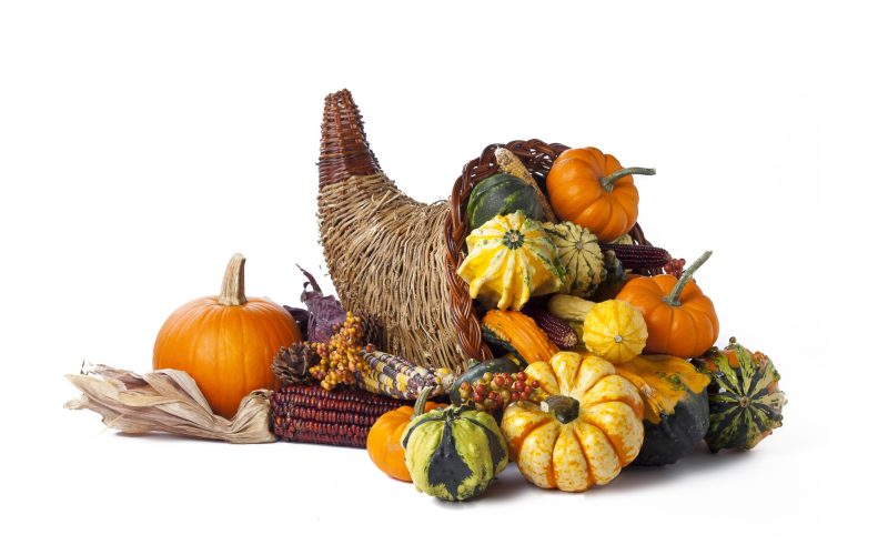 shutterstock_123421111